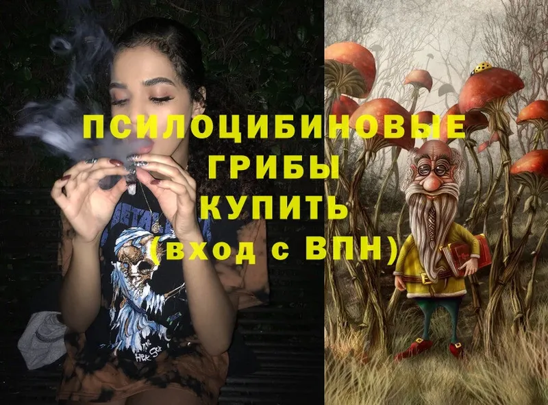 как найти закладки  Исилькуль  Галлюциногенные грибы Cubensis 